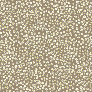 (S) Tiny quilting floral - small white flowers on Mushroom brown - Petal Signature Cotton Solids coordinate 