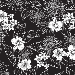 Jacana Hawaiian Floral - Black