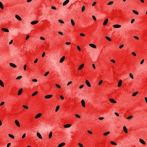 WATERMELON SEEDS Red 13.5"