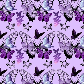 Purple Butterflies