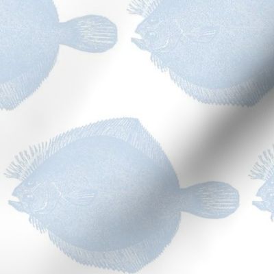 Vintage Look Illustration of a Flounder Fish in a custom pastel blue and white