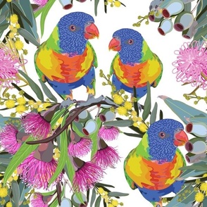 Rainbow Lorikeets And Summer Wildflowers 