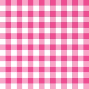 bright pink gingham checkered plaid 65