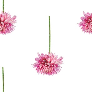 UPSIDE DOWN OVER-SIZED PINK FLORAL on a WHITE BACKGROUND