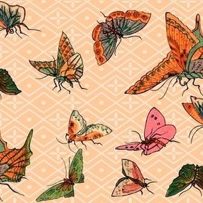 Chinoiserie Butterflies 2a