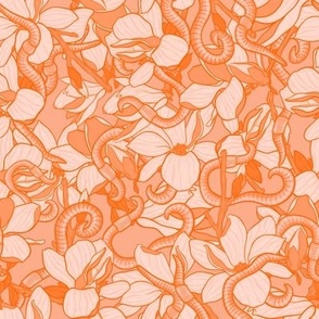 Orange Wriggling Magnolias