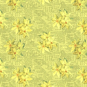 May flowers yellow 