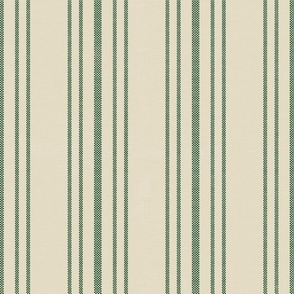 AEGEAN TICKING STRIPE GREEN