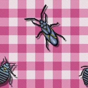 Success Bugs on Pink Buffalo Plaid