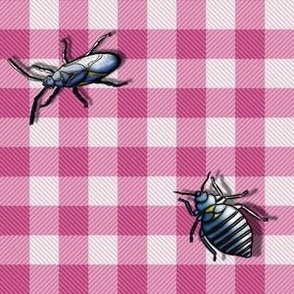 2 Doodle Bugs on Pink Check