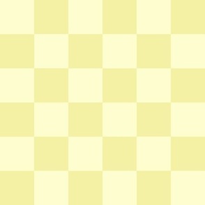 Checkers - Yellow - Lemonade Love Story Coordinate