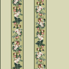 BORDER PRINT - APPLE ORCHARD COLLECTION (GREEN)