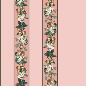 BORDER PRINT - APPLE ORCHARD COLLECTION (PINK)