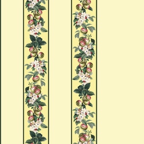BORDER PRINT - APPLE ORCHARD COLLECTION (YELLOW)