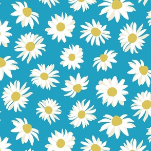 Daisies on Turquoise Background