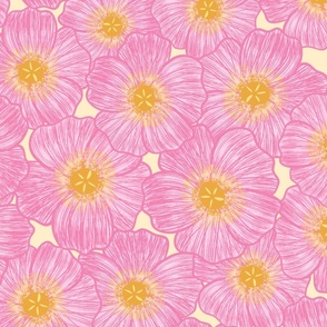 Pink Bloom Flowers