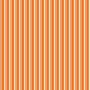 coordinate-stripes-orange-small scale
