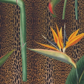 Strelitzia Animal Grand