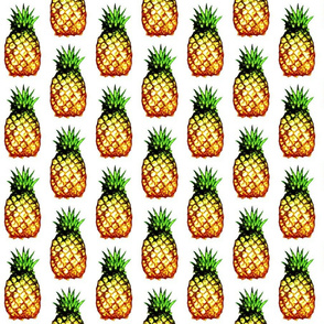 field of pineapples
