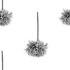 OVER-SIZED BLACK AND WHITE FLORAL ON A WHITE BACKGROUND