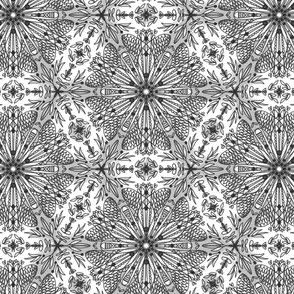 Floral Kaleidoscope Black and White