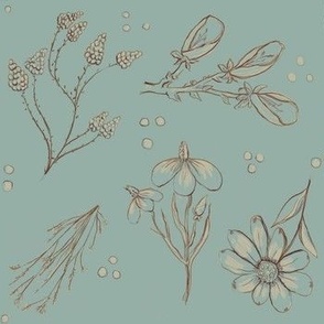 Picking Flowers Brown Cream Sketches on Aqua Blue Hand Drawn Sketch Floral Scatter