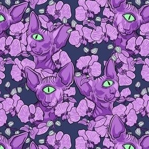 Purple Field of Cyclops