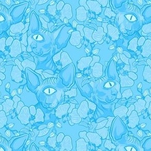 Blue Field of Cyclops