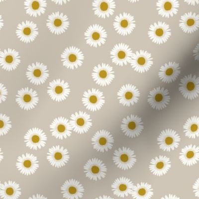 Daisies in natural - small 