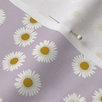 Daisies in lavender- small 