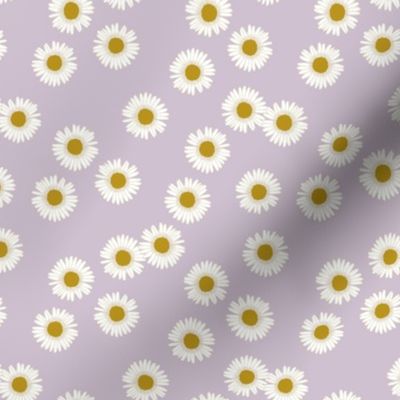 Daisies in lavender- small 