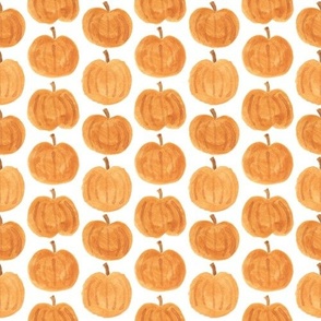 pumpkins tight white background