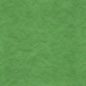 Cowpoke Colors - Cactus Patch Green