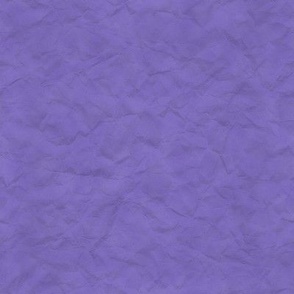 Cowpoke Colors -  Desert Sage Purple