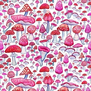 Pink and red mushrooms on white painted in watercolor 