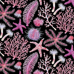 Pink Reef - Coastal Life of The British Isle