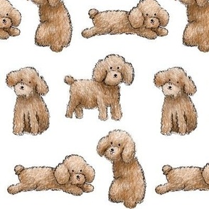 Oodles of Poodles