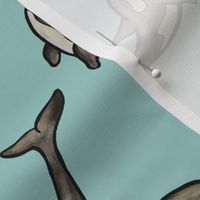 Orca Watercolor - Teal