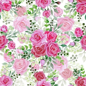 Bouquet of pink roses on a white background, watercolour illustration. 