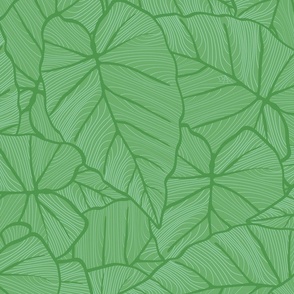 Monochromatic green line art of large tropical leaves - all over and dense layout - large scale .