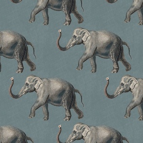 Vintage elephants on solid blue color with linen texture
