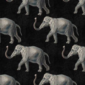 Vintage elephants on solid black color with linen texture