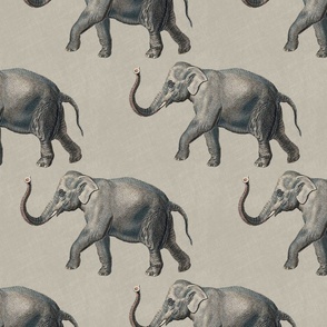 Vintage elephants on solid greige color with linen texture