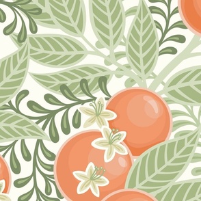 Orange Grove- Orange Orchard- Citrus Tree- Oranges- Tropical Fruit- Soft Orange and Green- Botanical Wallpaper Extra Large