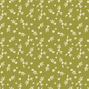 Cream little tiny delicate flowers in lime