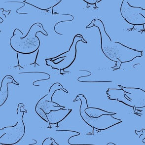 Duck Doodles, middle blue