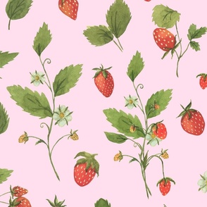 Wild Strawberry Pattern On Pastel Pink