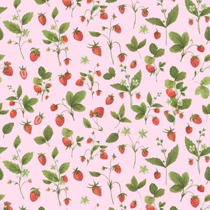 Wild Strawberry Pattern On Pastel Pink Smaller Scale