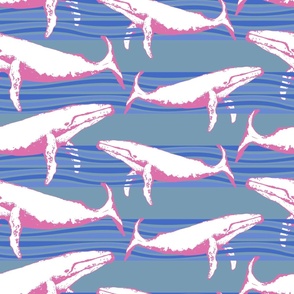 Whale Watch (Seafoam, Pink, & Blues) 24x24
