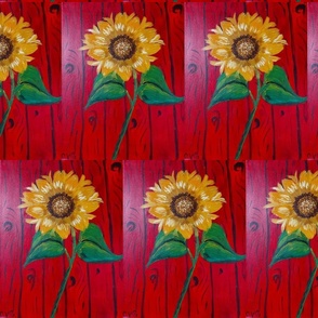 Sunflower Against Red Barn - Smaller design